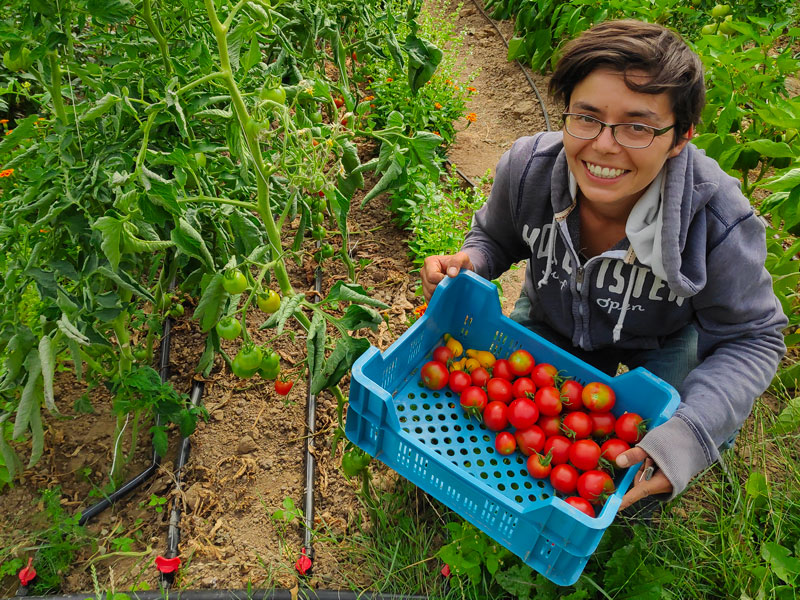 zofia-smala-farming Zofia, maraîchère au champ Smala Farming à Anderlecht